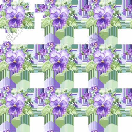 紫色小花朵清新透明素材