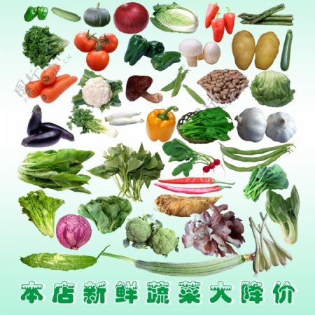 蔬菜分层设计