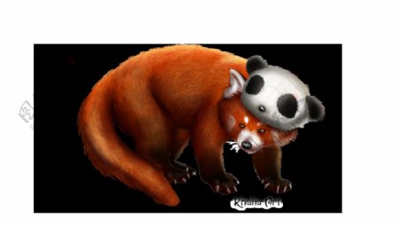 小熊猫图片可爱卡通免抠png透明图层素材