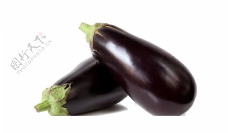 新鲜紫色茄子图免抠png透明图层素材