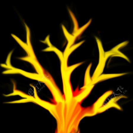 火树