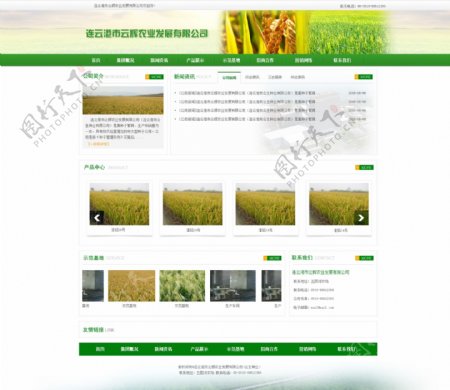 农业网站简约模式设计图