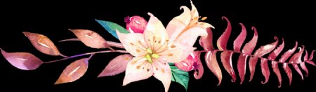 精美婚礼卡片装饰花卉透明素材