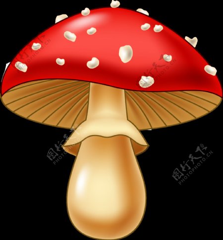 卡通红蘑菇png元素素材