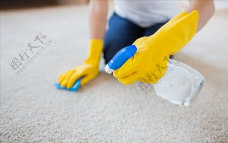 清洗地毯