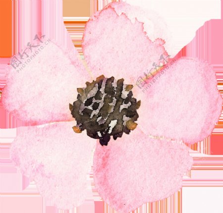 粉色优雅花卉卡通透明装饰素材