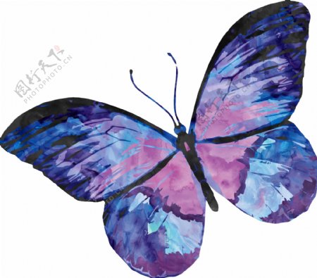 深蓝蝴蝶卡通透明装饰素材