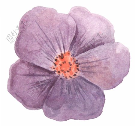 紫色盛开花卉透明素材