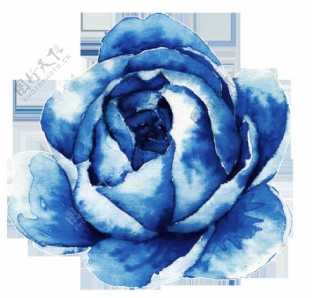 蓝色时尚玫瑰花卡通透明素材