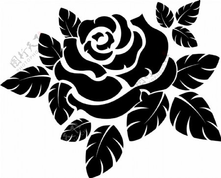 黑白玫瑰花图案