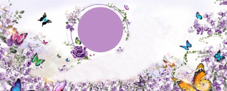 唯美紫色花朵蝴蝶背景