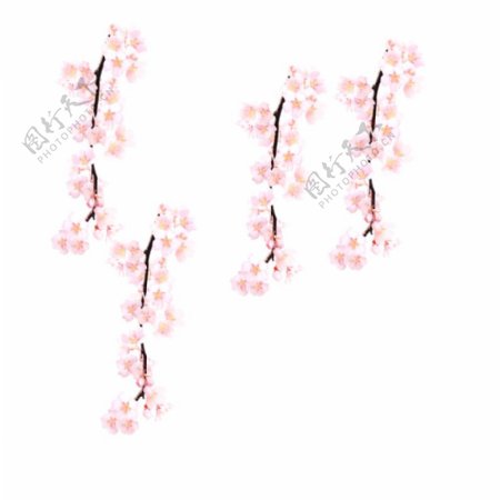 粉色温婉樱花装饰元素