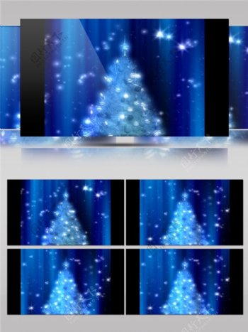 蓝色松树圣诞节视频素材