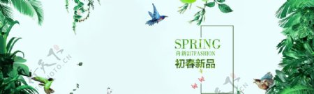 春季绿色枝叶背景女装海报