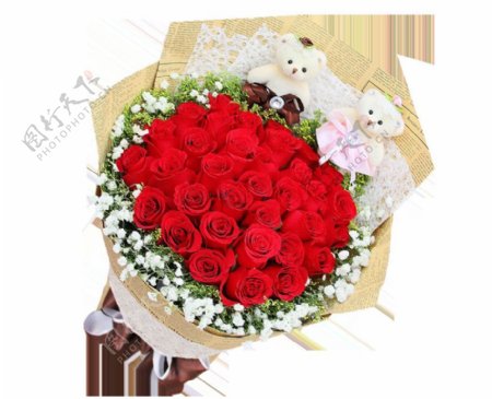 明艳大红色玫瑰花花朵花束实物元素