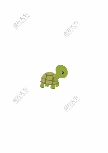 乌龟卡通乌龟