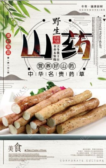 中国风野生山药美食海报设计