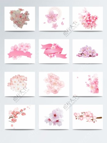粉色樱花花簇元素素材
