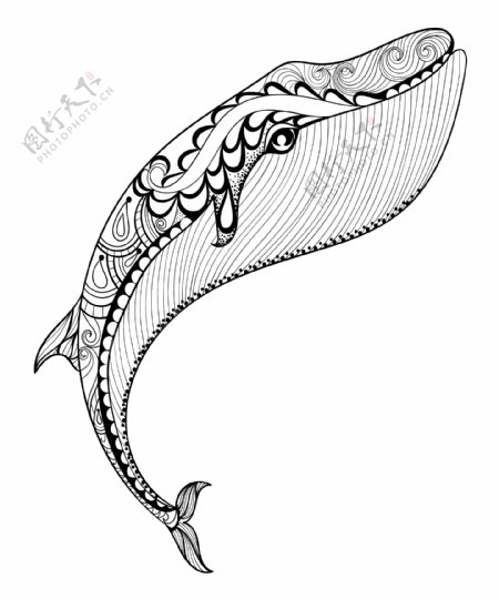 黑白艺术卡通海豚插画