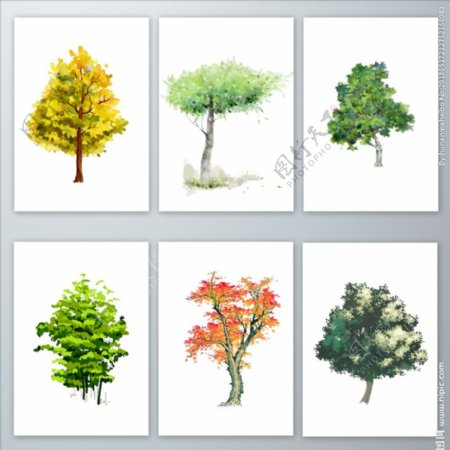中国风水彩画树木png素材