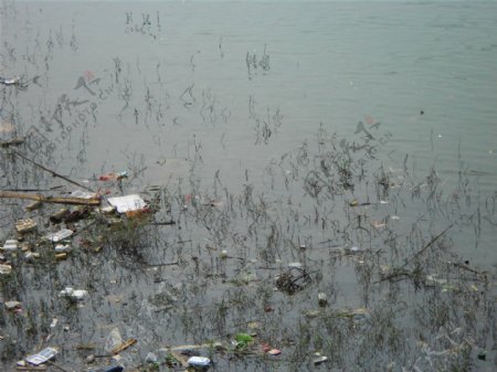 污染的河面