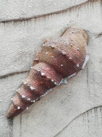 海螺雕刻艺术