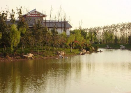 汶上县湿地公园