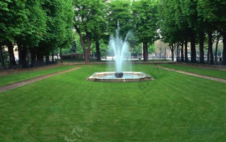 摄影绿地植物公园喷泉