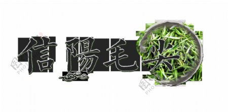 信阳毛尖茶叶茶艺艺术字设计png