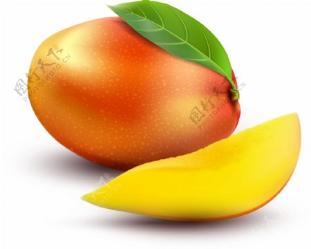 矢量芒果水果元素