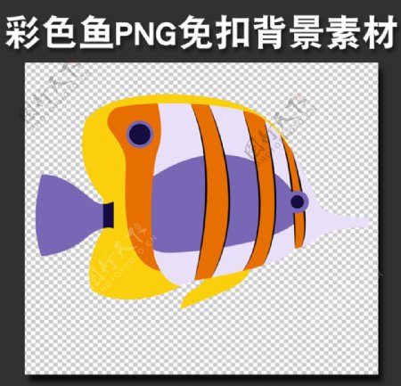 海洋彩色鱼PNG免扣背景素材