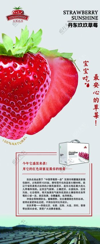 丹东玖玖红颜草莓
