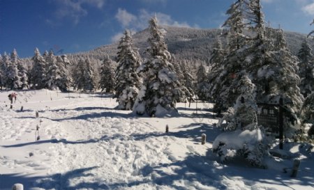 冬天高山雪地风景