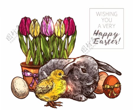 手绘复活节可爱兔子贺卡
