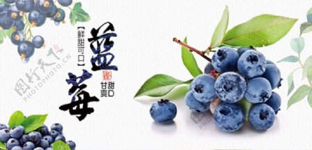 蓝莓海报小清新banner