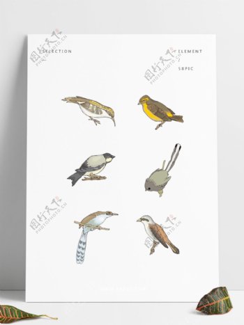 手绘小鸟动物设计元素可商用