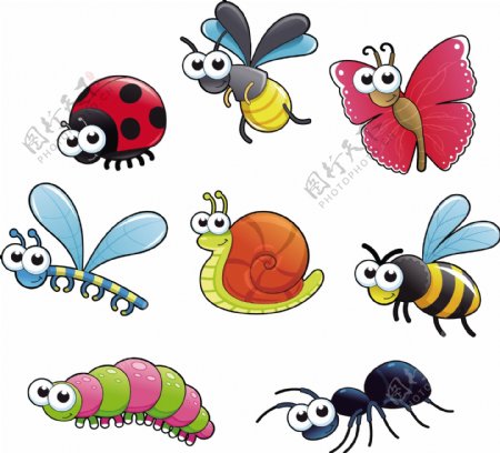 毛毛虫蜗牛蚂蚁蜜蜂黄蜂