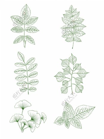 手绘植物素材手绘绿叶