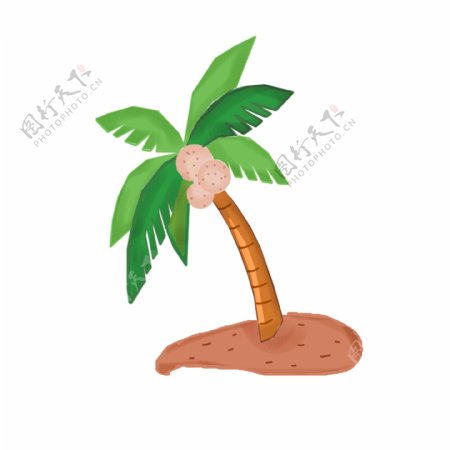 手绘一株椰子树插画