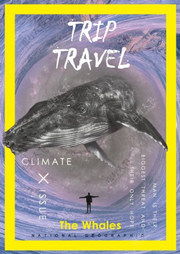 2017海报国家地理海报设计鲸鱼旅游杂志极坐标PSD模板
