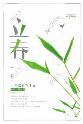 白色清新立春节日设计海报