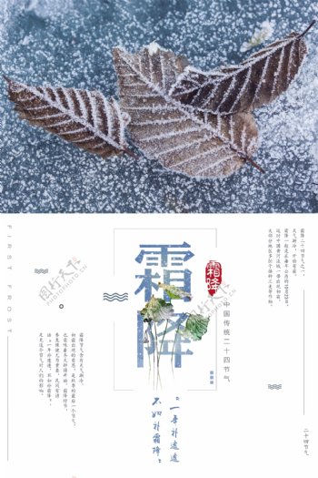 日系清新二十四节气霜降海报