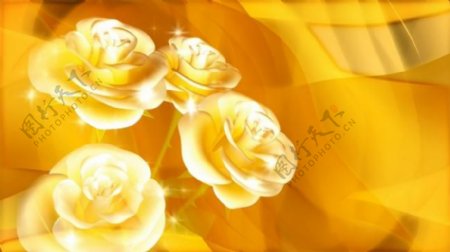 金色花朵背景视频