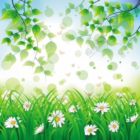 春日阳光治愈系花朵图片