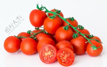 营养红番茄