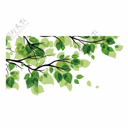 清新绿色树叶卡通透明素材