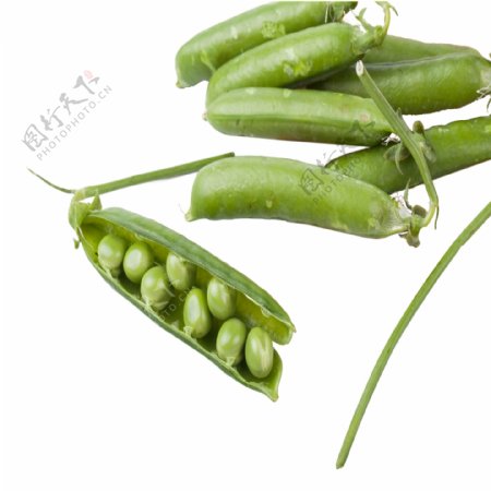 绿色创意绿豆食物元素