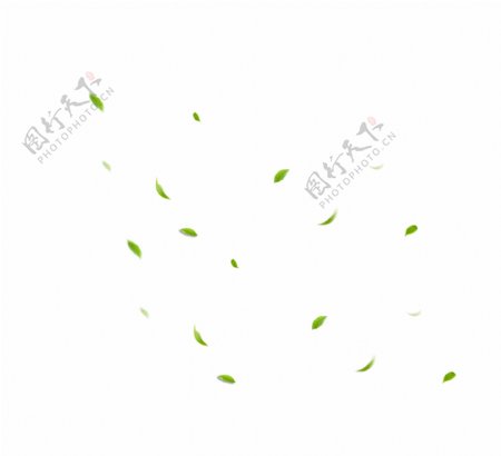 绿色茶叶树叶漂浮素材