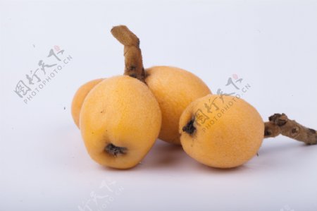 枇杷果新鲜水果实物图摄影图