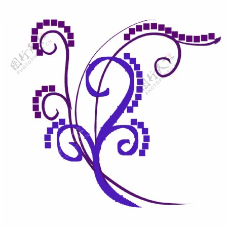 缠绕的紫色花藤插画